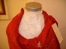 Exposición de indumentaria y costumbres 2009